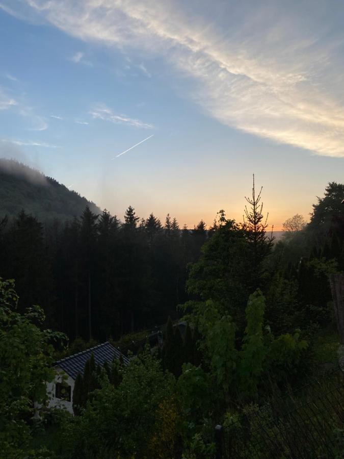 Vip Haus Winterberg Villa Eksteriør billede